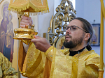 Архипастырь возглавил торжества, посвященные 20-летию со дня Великого освящения храма во имя святителя Митрофана, первого епископа Воронежского села Верхний Мамон