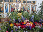 Троица в Богучарском благочинии
