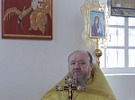 Архипастырь возглавил торжественное богослужение в день престольного праздника храма апостола и евангелиста Иоанна Богослова села Гороховка Верхнемамонского района