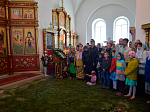 Праздник Пятидесятницы в Ольховатском благочинии