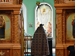 Соборная литургия в селе Петровка