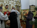 В день памяти святителя Макария Московского Архипастырь совершил Божественную литургию в храме святых апостолов Петра и Павла села Репьевка