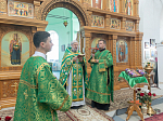 Епископ Дионисий возглавил престольное торжество храма святого благоверного князя Александра Невского с. Петровка