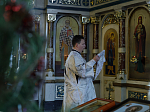 В Крещенский сочельник епископ Россошанский и Острогожский Дионисий совершил Литургию в храме Святой Живоначальной Троицы районного поселка Кантемировка
