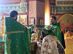 Духовенство и миряне Россошанской епархии поздравили своего Архипастыря с Днем рождения