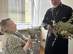 Руководитель медицинского отдела поздравил медработников сельской больницы с праздником Входа Господня в Иерусалим