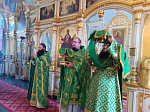 В Тихоновском соборном храме города Острогожска совершена миссионерская литургия