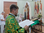 Епископ Россошанский и Острогожский Дионисий совершил Божественную литургию в храме Святого Духа с. Петренково Острогожского района