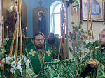 В праздник Святой Троицы Преосвященнейший епископ Дионисий совершил Литургию в Свято-Троицком храме города Россоши