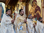Глава Воронежской митрополии с собором духовенства совершил Божественную литургию в Благовещенском кафедральном соборе