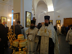 В Тихоновском храме г. Острогожска встретили праздник Богоявления