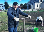 На сельских приходах Россошанского благочиния прошла высадка зеленых насаждений