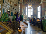 В праздник Входа Господня в Иерусалим глава Россошанской епархии совершил Литургию в Свято-Ильинском кафедральном соборе города Россоши