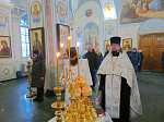 В Тихоновском соборном храме города Острогожска молитвенно отметили праздник Богоявления