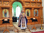 Соборная литургия в селе Петровка