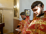 В Россошанском благочинии совершена соборная миссионерская Божественная литургия