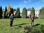 На территории Ильинского кафедрального собора города Россошь воспитанники воскресной школы высадили саженцы от 450-летнего дуба