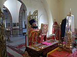 "Радоватися мироносицам повелел еси..."