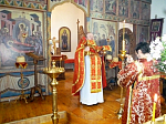 Молебен и крестный ход в день памяти образа «Живоносный источник»