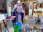 В храмах Богучарского благочиния совершили богослужения и освятили мед нового урожая