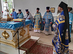 В Острогожске прошёл крестный ход с Сицилийской-Дивногорской иконой Божией Матери 