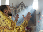 Правящий Архиерей совершил Литургию в Георгиевском храме села Терновое Острогожского района