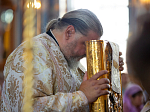 Епископ Россошанский и Острогожский Дионисий сослужил Преосвященным Архипастырям за богослужением в Благовещенском кафедральном соборе города Воронежа