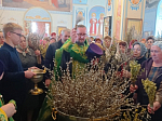 В праздник Входа Господня во Иерусалим в Свято-Тихоновском соборном храме города Острогожска совершено торжественное богослужение
