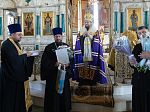 Епископ Россошанский и Острогожский Дионисий возглавил служение молебна святым благоверным князю Петру и княгине Февронии Муромским
