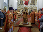Правящий Архиерей возглавил служение Божественной литургии в храме святых апостолов Петра и Павла районного центра Репьевка