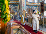 Епископ Россошанский и Острогожский Дионисий сослужил Преосвященным Архипастырям за богослужением в Благовещенском кафедральном соборе города Воронежа