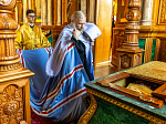 Торжественное соборное богослужение в праздник Собора Воронежских святых было совершено в Благовещенском кафедральном соборе города Воронежа