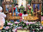 В храмах Павловского благочиния совершались праздничные богослужения в день Святой Троицы.