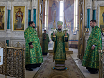 В праздник Входа Господня в Иерусалим глава Россошанской епархии совершил Литургию в Свято-Ильинском кафедральном соборе города Россоши