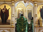 В Свято-Тихоновском соборном храме города Острогожска встретили праздник Пятидесятницы