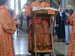 В Неделю 5-ю по Пасхе, о самаряныне, Правящий Архиерей возглавил воскресное богослужение в Свято-Ильинском кафедральном соборе города Россоши
