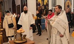 В Покровском храме села Шапошниковка состоялось Рождественское праздничное богослужение 