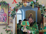 В праздник Святой Троицы Преосвященнейший епископ Дионисий совершил Литургию в Свято-Троицком храме города Россоши