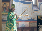 В праздник Входа Господня в Иерусалим епископ Дионисий совершил Божественную литургию в Ильинском кафедральном соборе Россоши