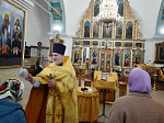 В храмах Богучарского благочиния священнослужители соборно совершили благодарственный молебен о здравии Святейшего Патриарха Московского и всея Руси Кирилла