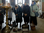 В Великую Субботу Правящий Архиерей совершил Литургию в Свято-Ильинском кафедральном соборе города Россоши
