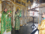 Праздник входа Господня в Иерусалим в Тихоновском соборном храме Острогожска