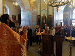 В Россошанском благочинии совершена соборная миссионерская Божественная литургия