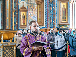 В Великий Четверток митрополит Воронежский и Лискинский Сергий возглавил служение Божественной литургии