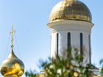 В день памяти прп. Сергия Радонежского Правящий Архиерей Россошанской епархии сослужил Предстоятелю Русской Церкви за Литургией в Троице-Сергиевой лавре