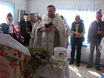 Вербное воскресенье в Михаило-Архангельском храме Острогожска