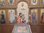 Престольный праздник в Данцевке