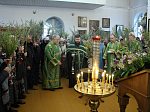 В Казанском храме Каменки молитвенно встретили Вербное воскресение