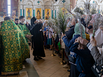 В праздник Входа Господня в Иерусалим епископ Дионисий совершил Божественную литургию в Ильинском кафедральном соборе Россоши