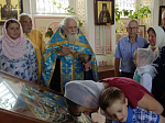 Жители села Петренково Острогожского района помолились перед чтимой иконой Божьей Матери «Оршанская»